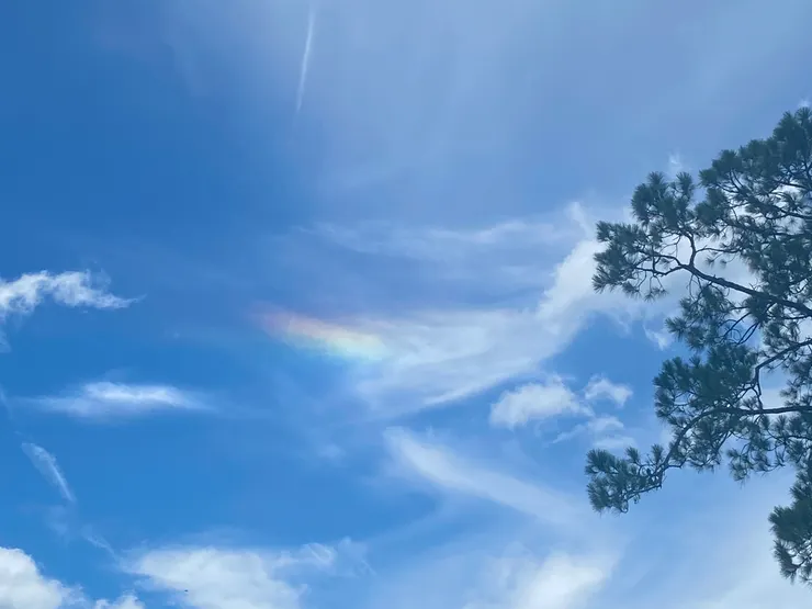 在 Jacksonville, FL 高速公路的休息站，第一次在看到彩虹光 (Photo by Carrie, 2024) 