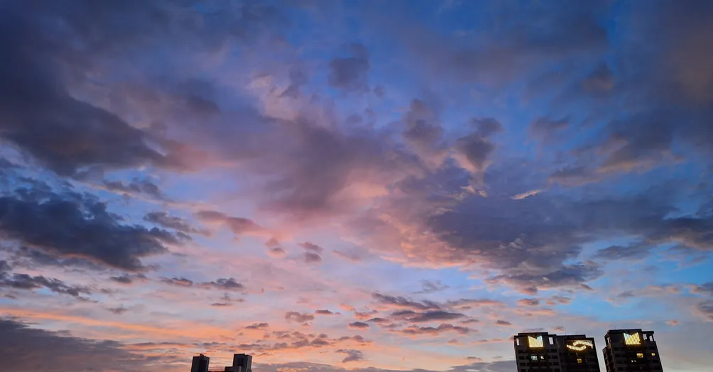 Danie Tsai的沙龍／尋找原實人