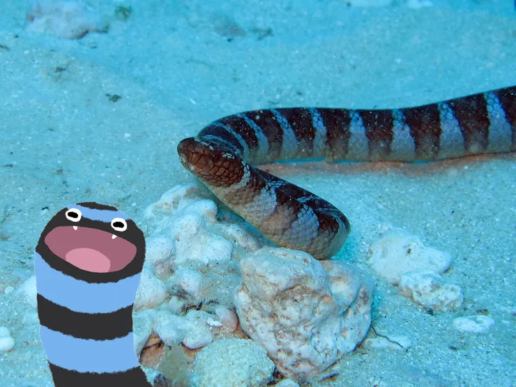 手繪Q版海蛇(改圖自:Vinh Le)