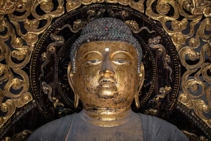 專心持念「阿彌陀佛」萬德洪名，期生淨土