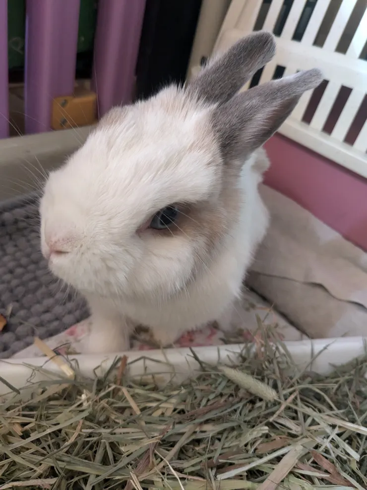 出現歪頭第一天，雖然角度不大，但看得出來與平常差異