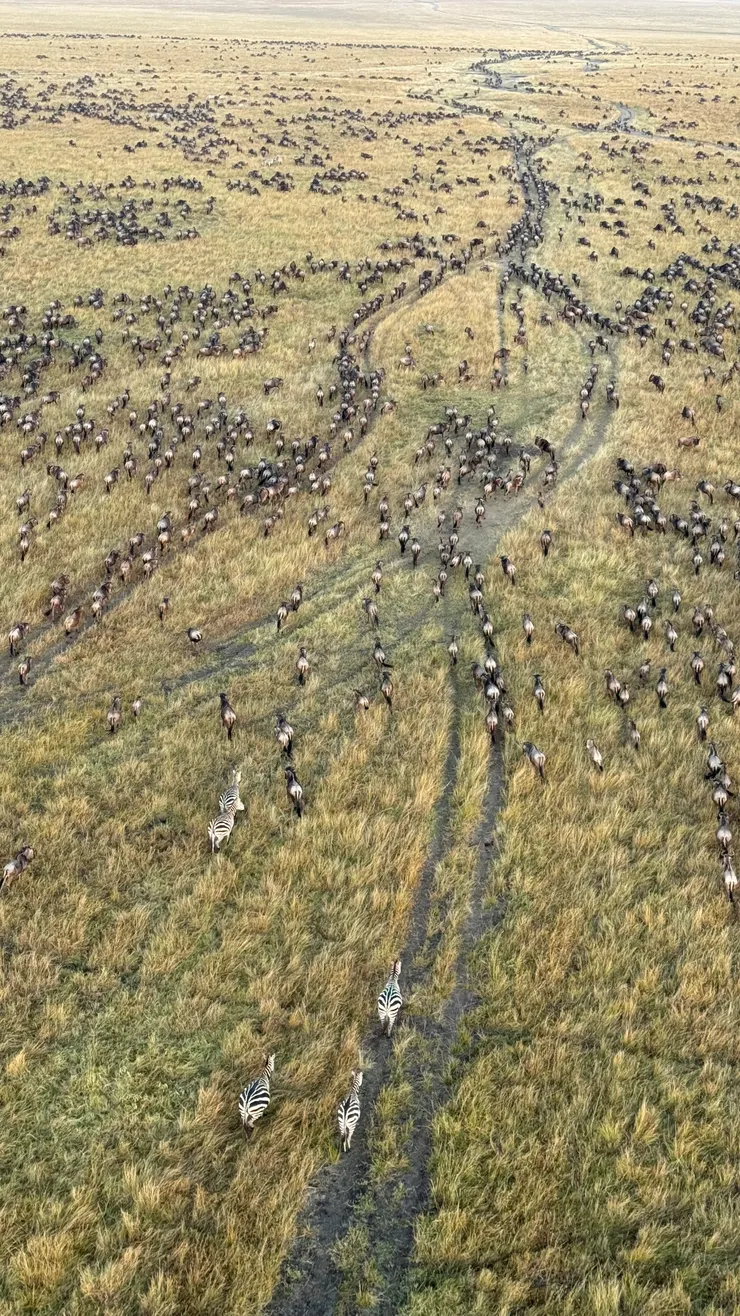 在熱氣球上使用手機拍的大草原景象