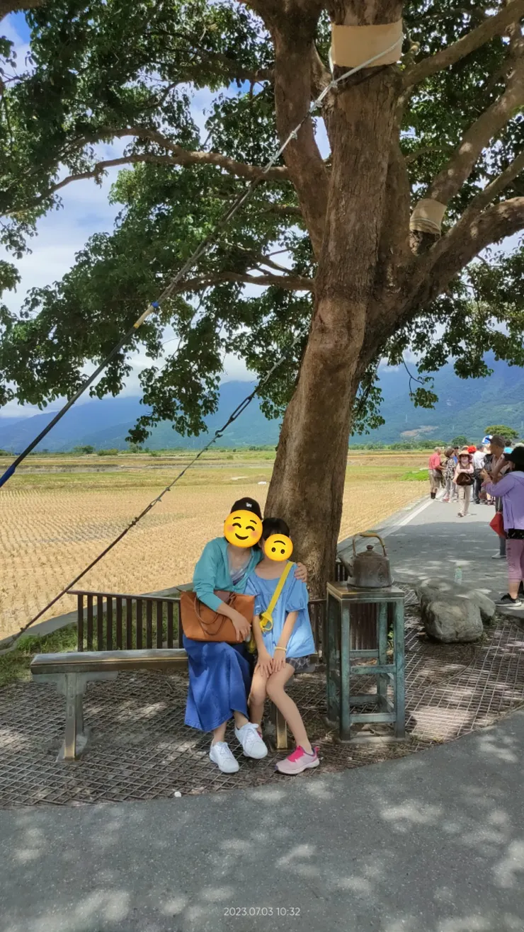 樹下,有老金的足跡