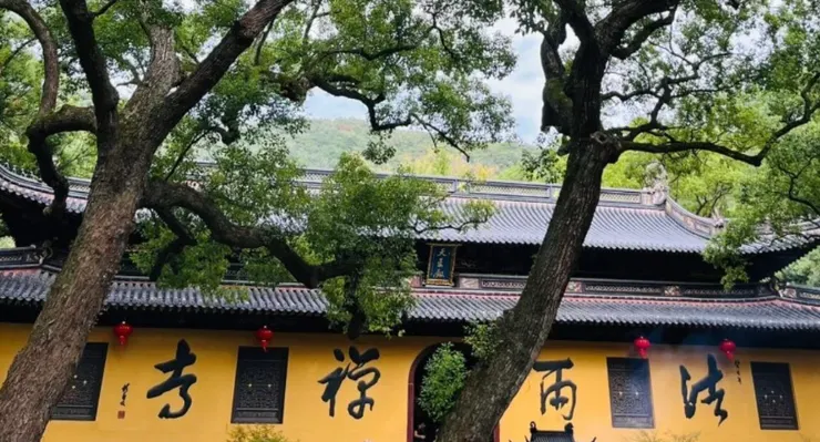 法雨寺這座位於山間的古老寺廟，背景綠樹成蔭，紅燈籠掛在寺廟外牆上，營造出寧靜的宗教氛圍。