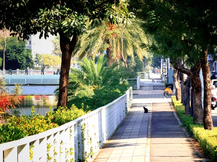 日常的「路邊」，原來這麼美