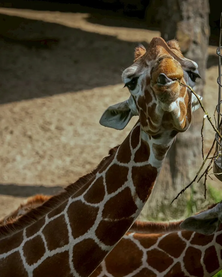 #工作心得 在職場💼不要只是認真就好🟧這6️⃣件事更重要‼️🫡請多為自己好、發掘更多自己的美好❤️ #更新版 #真心話大告白