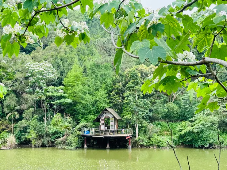 十二寮大埤（Justine攝）