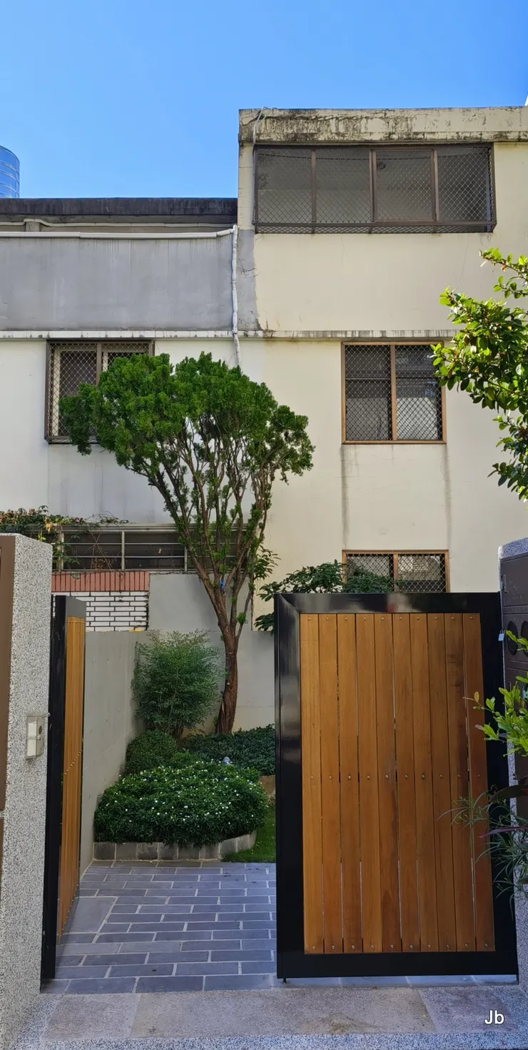 最後保留下來的「主樹」！從大門向庭院拍。它不是最傑出，但獨存活下來，没了比較，就覺得格外美麗珍貴！