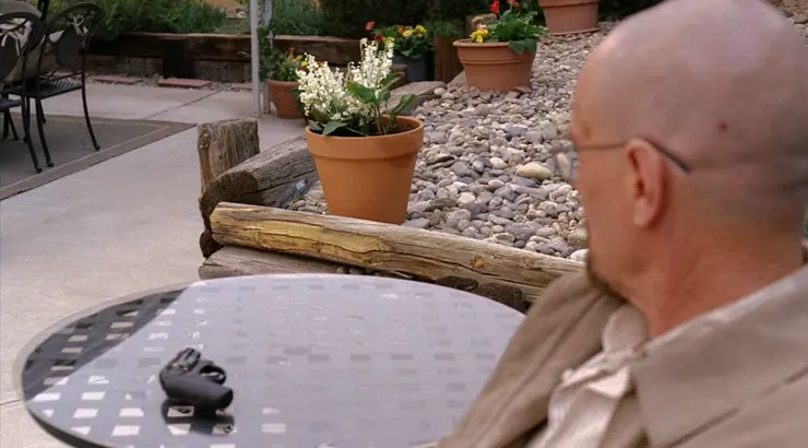 意料之外真的有作用的一盆花