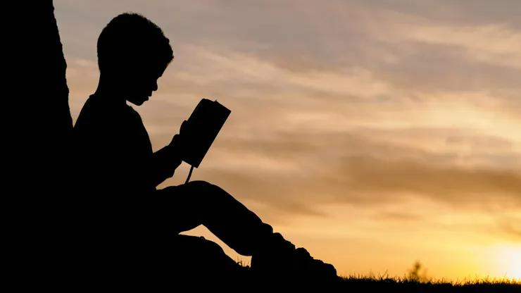https://unsplash.com/photos/silhouette-of-child-sitting-behind-tree-during-sunset-6jYoil2GhVk