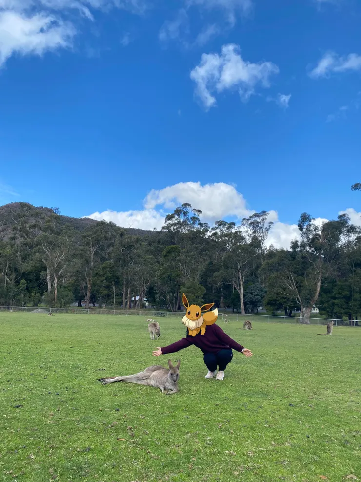 Halls Gap 溫柔的袋鼠