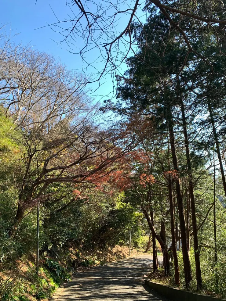 修道院一景