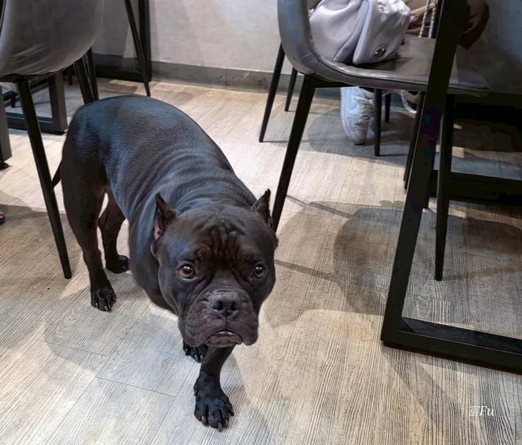 每次有新客人，奈奈老闆都會走出來打招呼，接著又跑回去廚房了XD