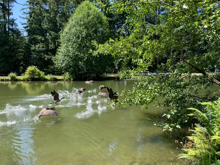 Ai-人夫 對愛的告白