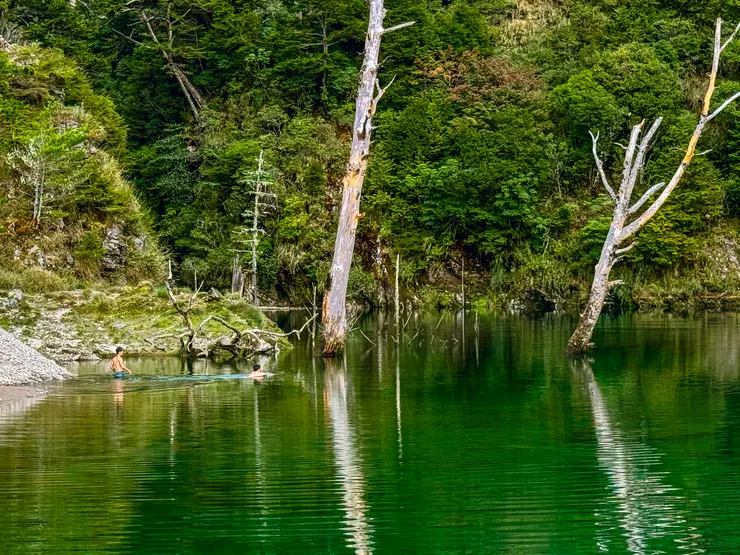 跳進池水游泳好勇敢
