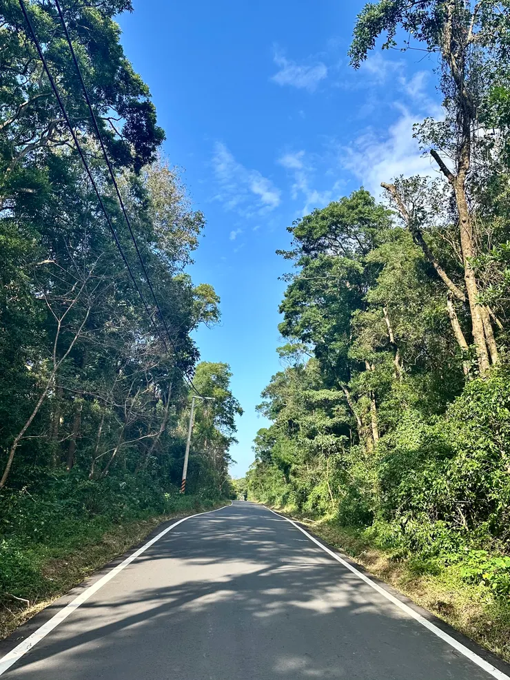 銅鑼樟樹山徑,少有車輛經過,走起來非常舒暢