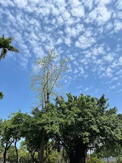 要做到道家的無為，或者是佛家的見性程度，並不容易。可能自以為已經屏除了大腦的雜念，達到平靜的境界，殊不知平靜本身仍在大腦的意識範圍之下。就像月光使用語言來寫文章，仍然要透過大腦的作用才能完成。超脫了語言範疇，也難以呈現出來。