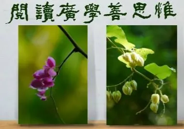 閱讀廣學善思惟的沙龍