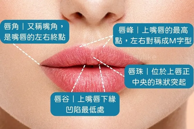 玻尿酸 嘴唇,玻尿酸 豐唇,玻尿酸 嘴唇 效果,玻尿酸 嘴唇 副作用,玻尿酸 嘴唇 價格