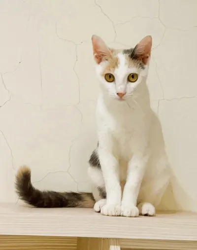 近況&好用降雨預測工具分享