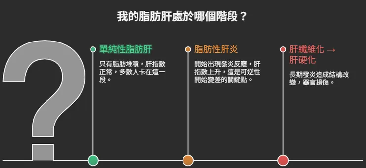 脂肪肝相關階段