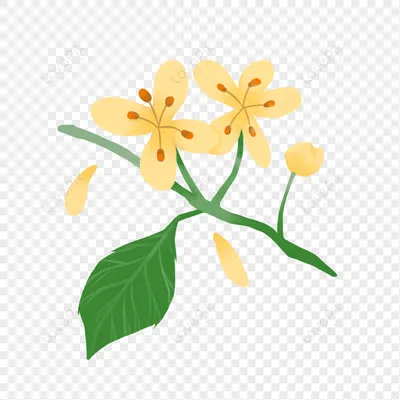 ZUIZH_MEI茱芷姓名筆記的沙龍