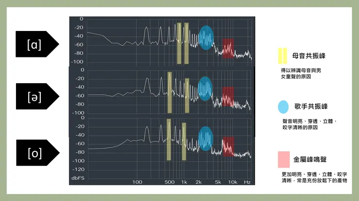 不同母音發聲動作,強化的頻段不同,會形成各種共鳴腔的音色感受