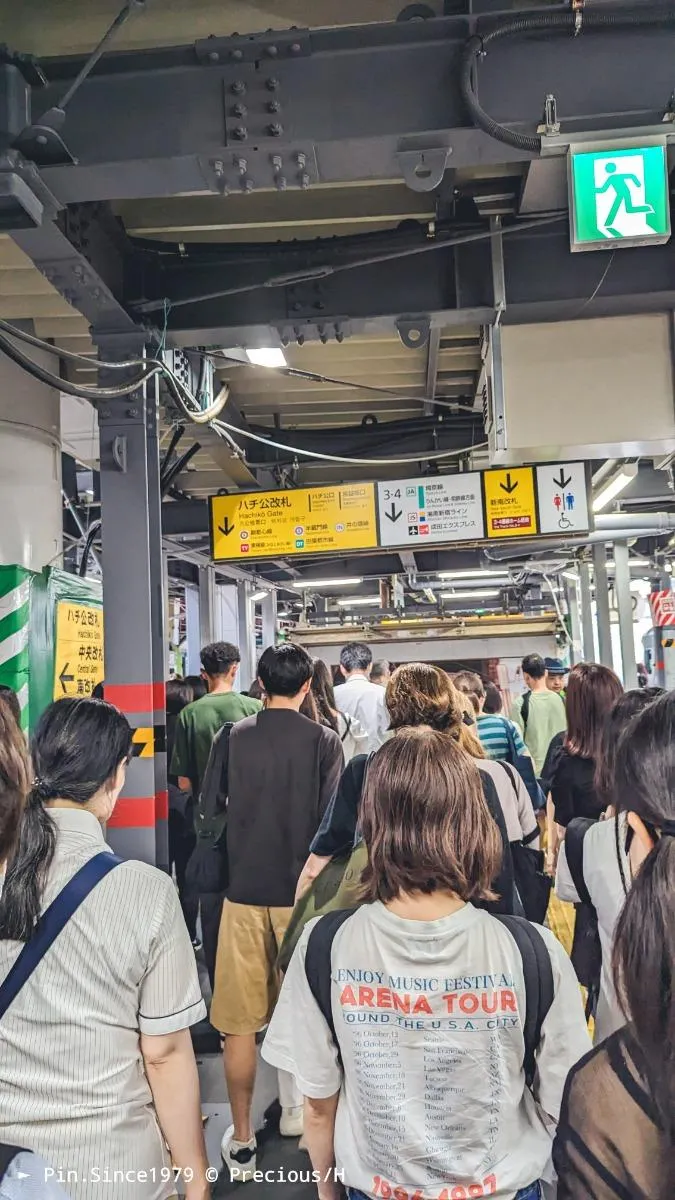 JR澀谷「八公口」出站找忠犬小八銅像