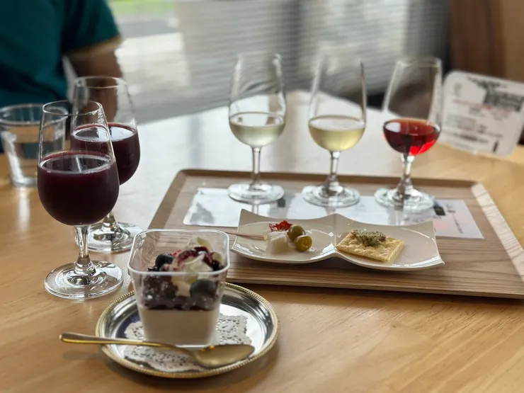 酒廠提供的testing menu,也有適合小孩飲用的葡萄汁與奶酪