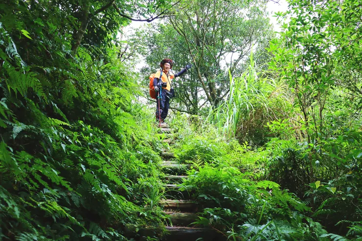 樸實的枕木步道