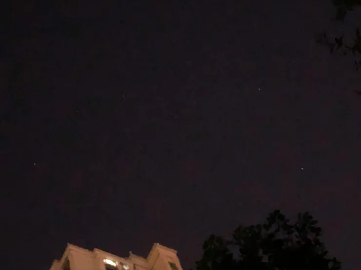 僅有身體的獅子座