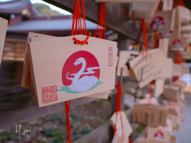 新的一年在明治神宮祈求蛇麼都順利