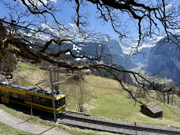 火車、山峰與樹影交錯的瞬間