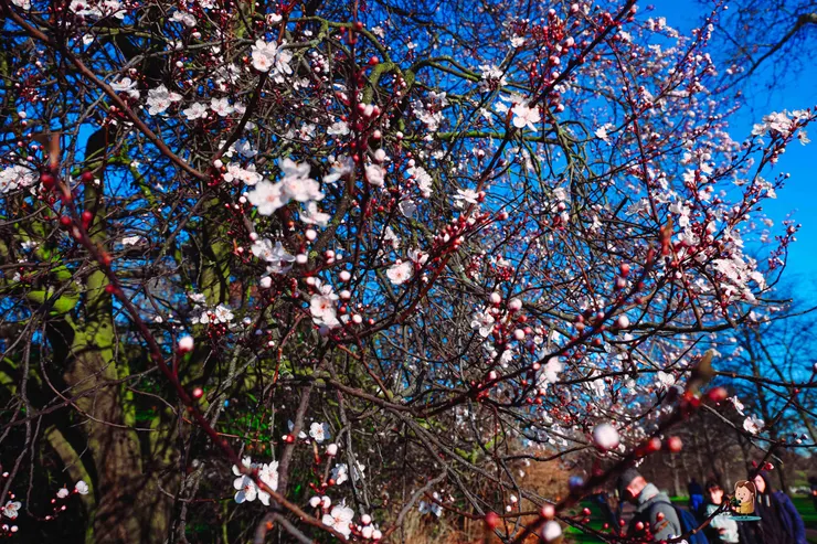 shot by Me @ London。03/2020.