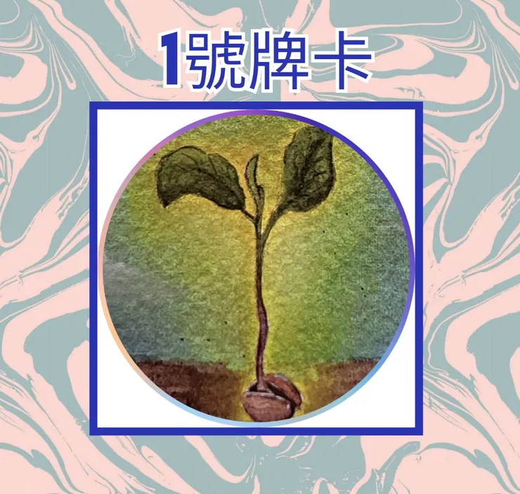 1號牌卡