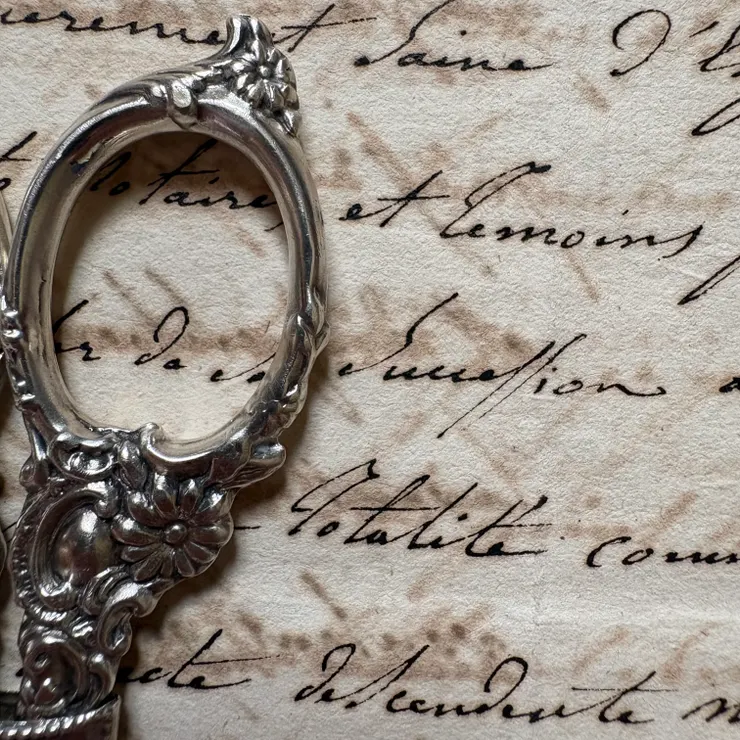 代表純真與快樂的雛菊🌼