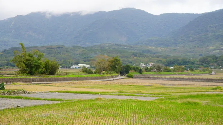 大坡池 浮圳 ~高於地面的水圳