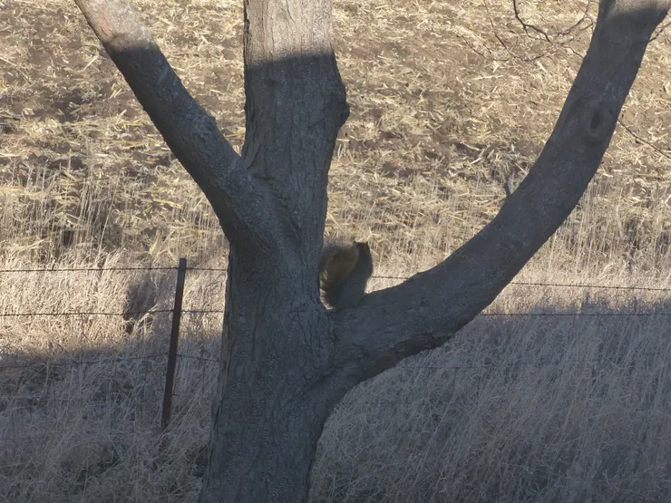 耍憂鬱的異地王子