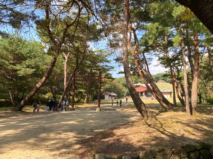 拍攝於2023年10月15日，韓國 東九陵