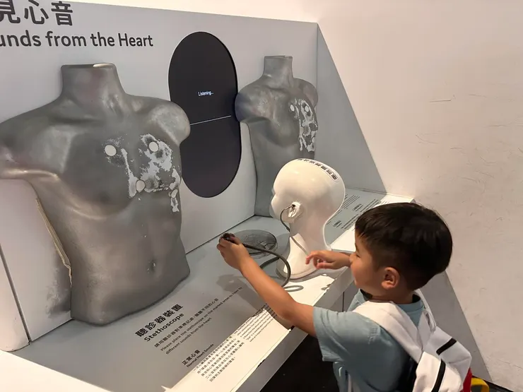 拿聽診器聽看看心音