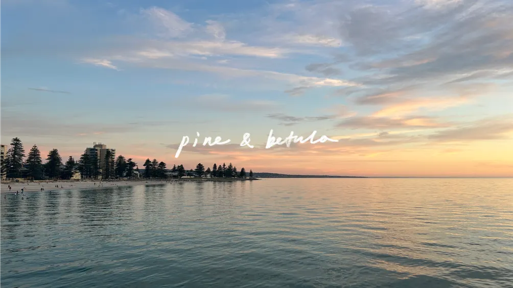 pine & betula | Travel Blog