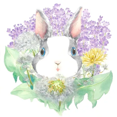 打烊的羊｜除了可愛一無是處