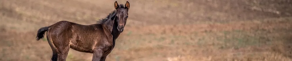 網路營銷空間站