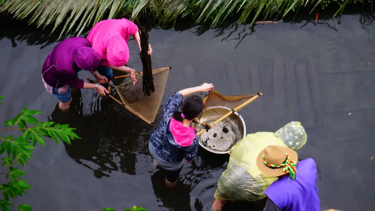 大竹筒空空如也魚跑哪裡去?