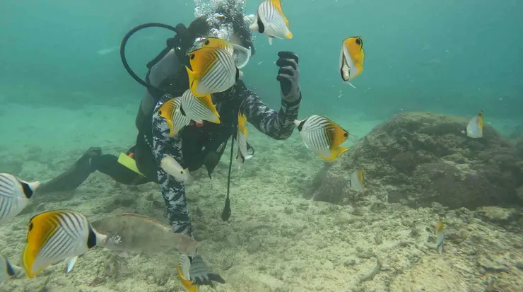 沖繩豪雨下海潛水