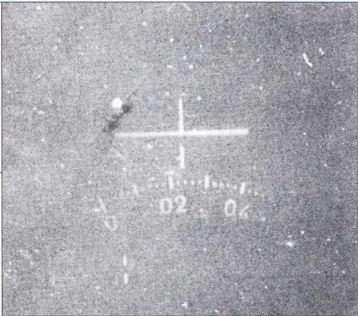 這張低解析度影像據信由一架伊拉克幻像拍攝於1986年10月6日，勉強可以辨別到一架雄貓正在被追擊，是少有 - 且可能是唯一雄貓遭到追擊的影像。這架雄貓雖然受到損失，但還是僥倖逃脫。