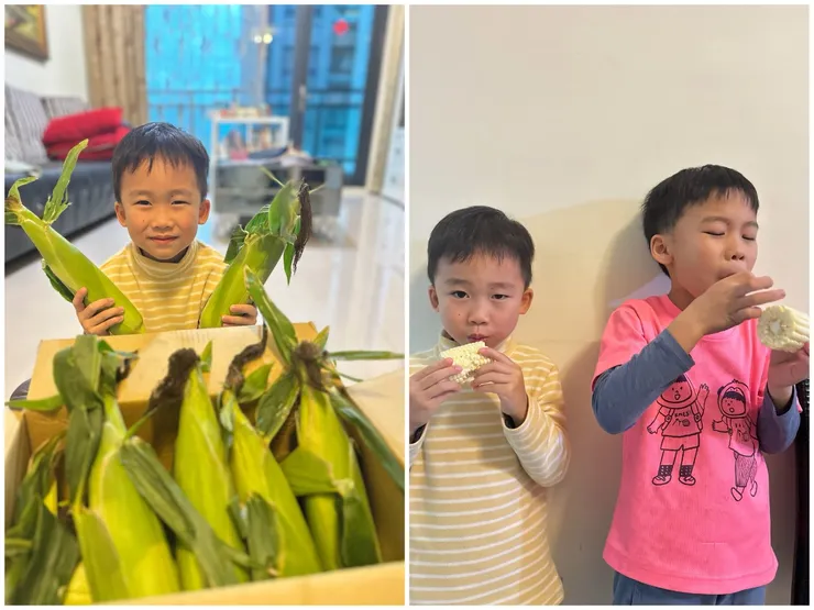 生吃比煮熟吃更甜的水果玉米