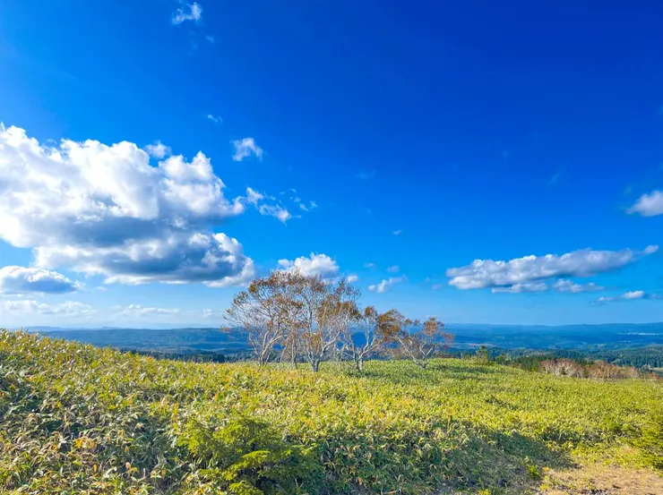 內外朗智，心慧寬敞。