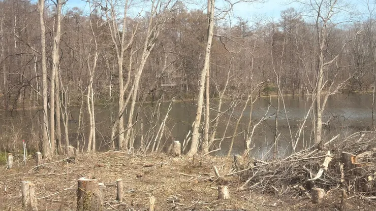 大沼公園二十年前跟團來過