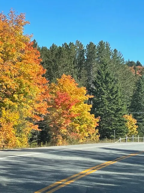 安大略省賞楓熱點：亞崗昆公園（ Algonquin Provincial Park )，佔地總面積為 7,653 平方公里。